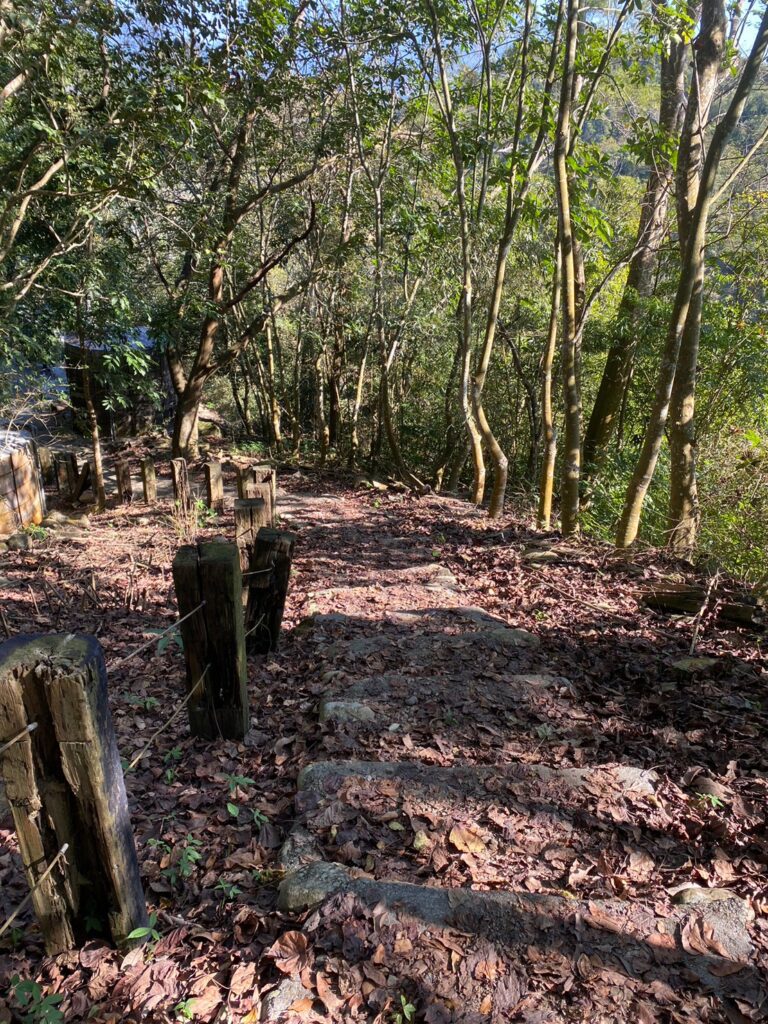 百勝村森林步道