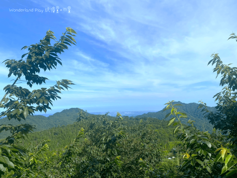 雲境松林