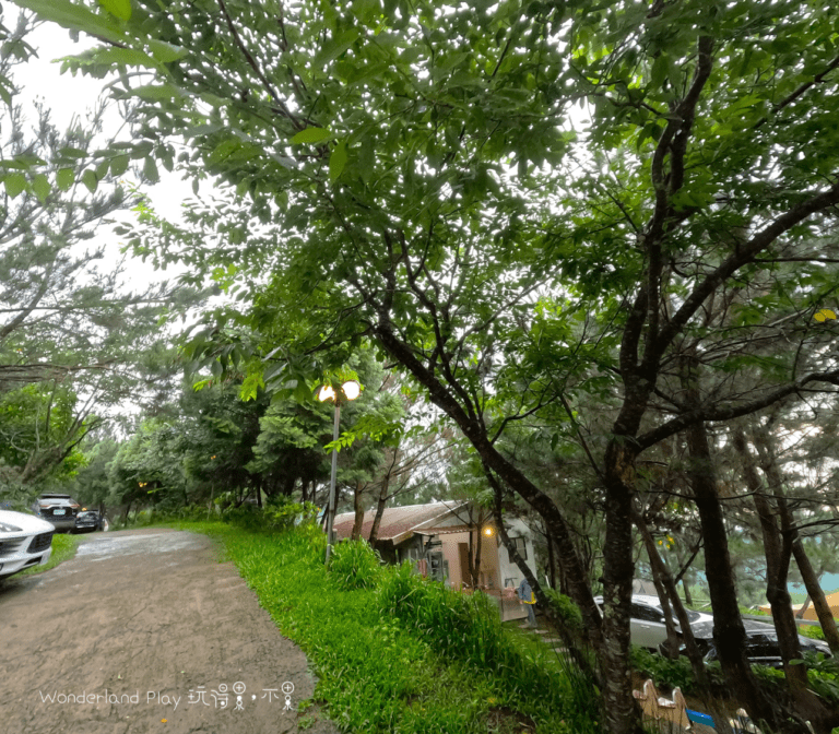 雲境松林露營區