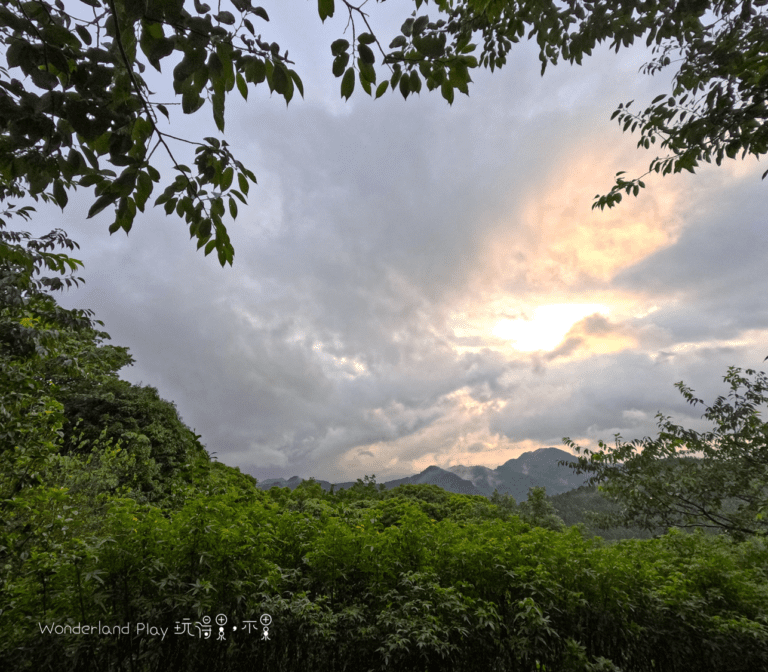 雲境松林