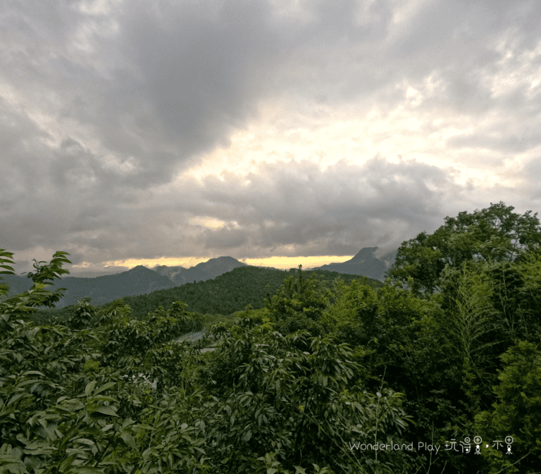 雲境松林