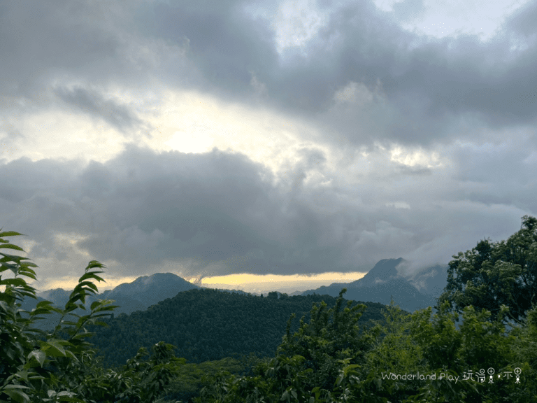 雲境松林