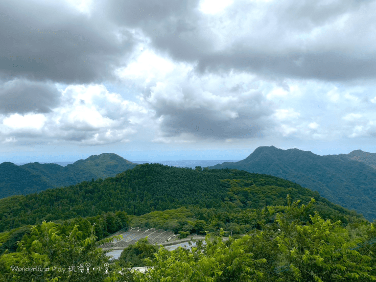 雲境松林