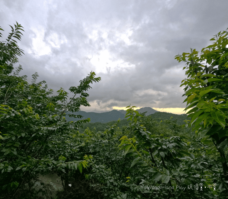 雲境松林露營區