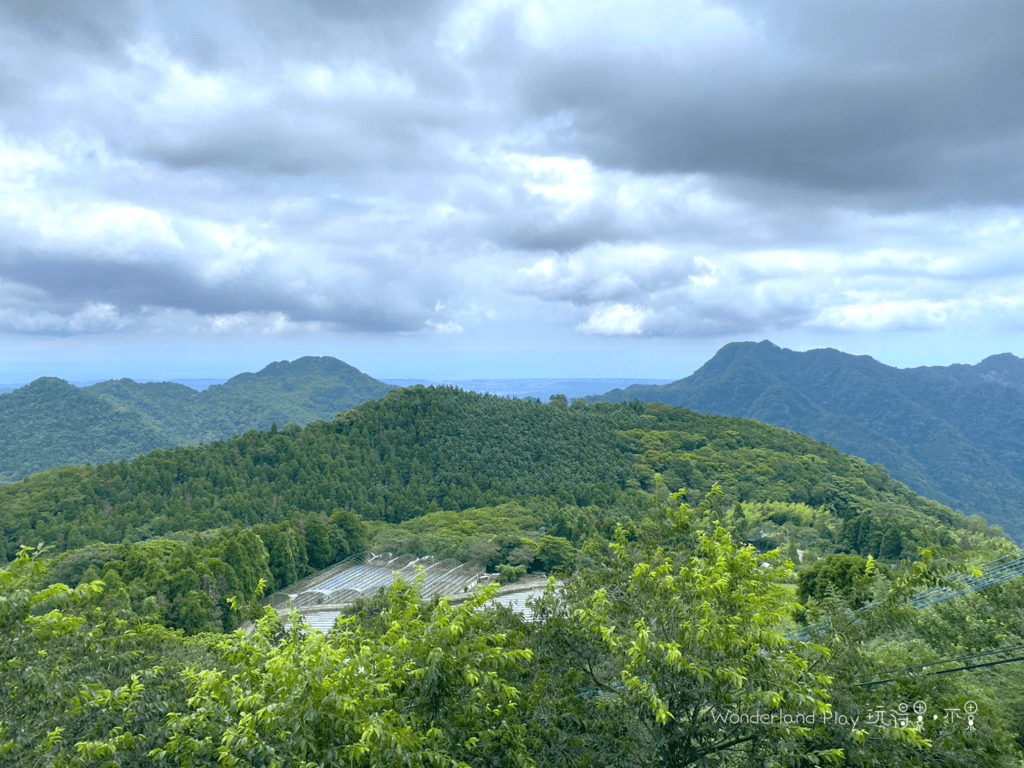 雲境松林露營區